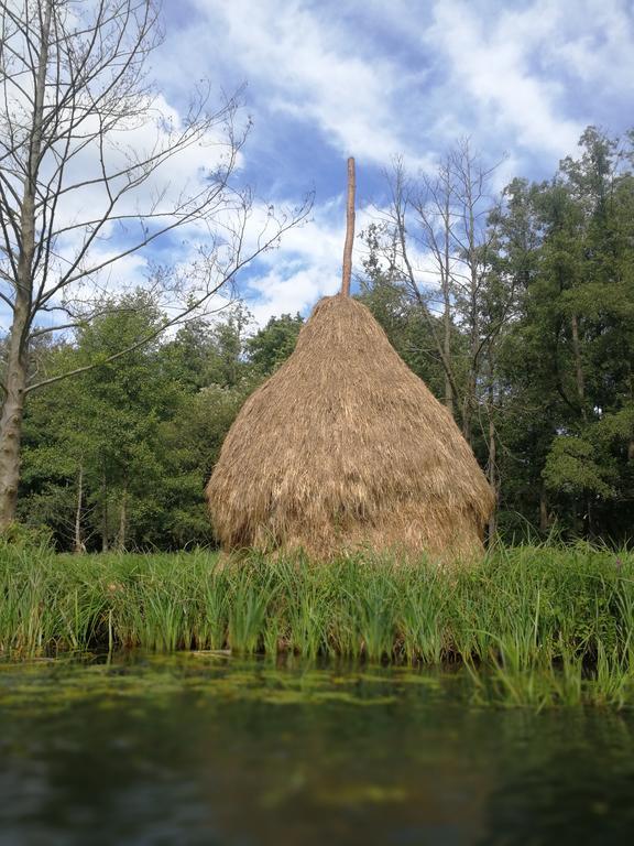 Spreewald Ferienwohnung Wollgast Lübben Habitación foto